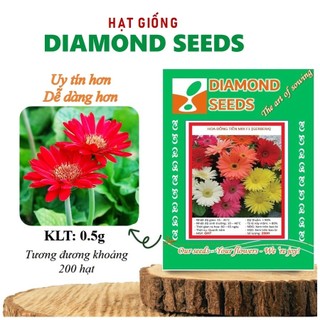  Hạt giống hoa đồng tiền kép dễ trồng nhiều màu tuổi thọ cao gói 50 hạt nhà cửa và đời sống cửa hàng hạt giống uy tín 