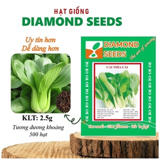 Hạt giống Rau Cải Chíp Bẹ Xanh Hạt giống Rau Cải Thìa, cải chíp, dễ trồng, năng suất cao