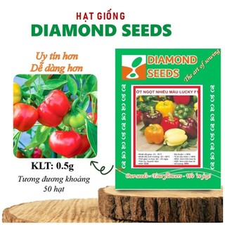 Hạt giống ớt chuông Hạt giống Ớt Chuông Ngọt nhiều màu, trái sai, trồng quanh năm