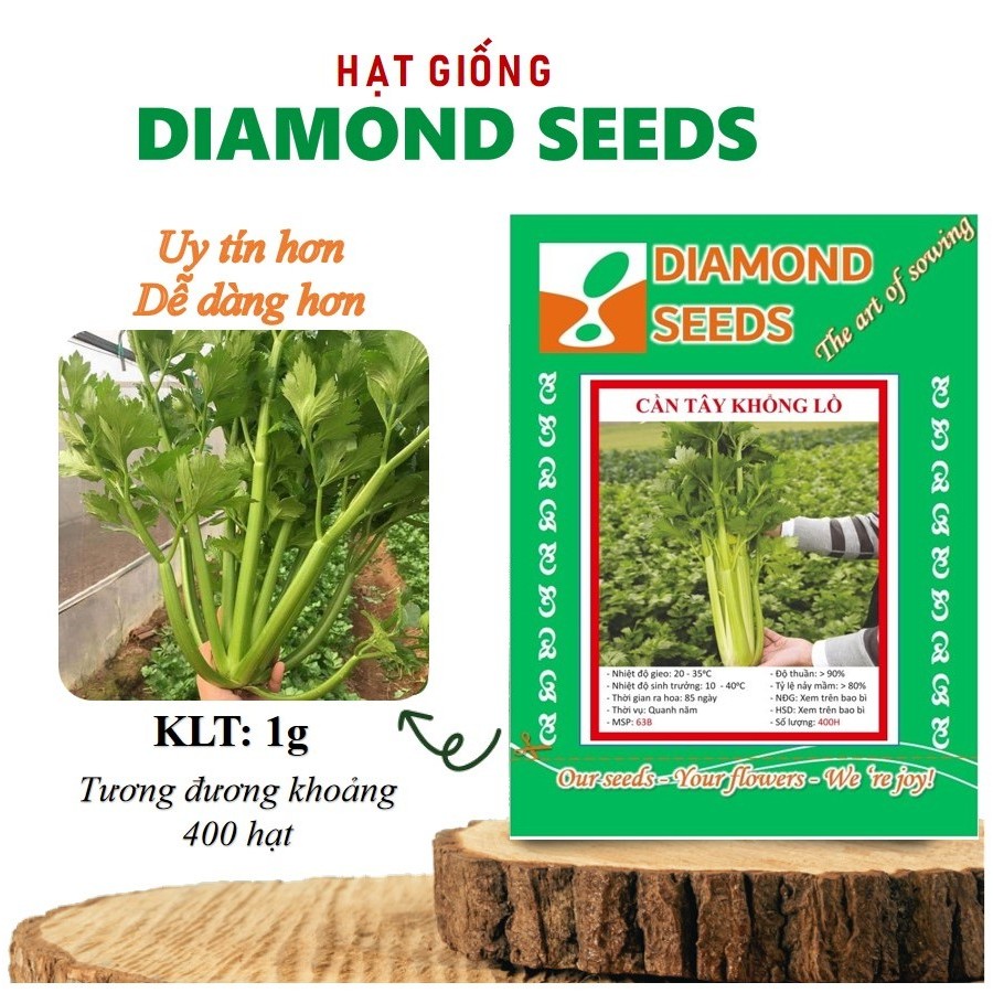 Hạt giống Cần Tây Bẹ To chuyên ép nước, dễ trồng, dễ chăm sóc, sinh trưởng khỏe-Tập làm vườn cùng CANH ÔNG