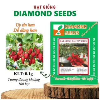 Hạt giống dâu tây chịu nhiệt, dâu tây loại siêu quả Hạt giống Cây ăn quả - Rau ăn trái trồng chậu