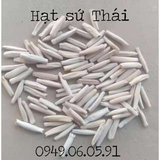 Hạt giống sứ thái nhiều màu set 50 hạt