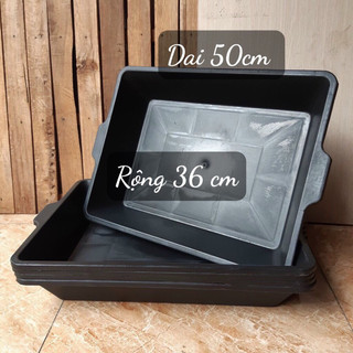 Sét 5 khay trồng rau mầm - khay đựng nước - nuôi giun trùn chỉ