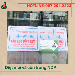 Combo 20 miếng keo dính ruồi