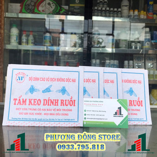Combo 20 miếng keo dính ruồi