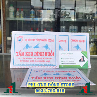 Combo 20 miếng keo dính ruồi