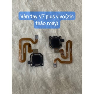 Vân Tay V7 Plus Vivo(zin tháo máy)