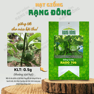 Hạt giống Cà Dĩa Rado 709 chịu nhiệt tốt, ít sâu bệnh, trồng quanh năm - Hạt giống Rạng Đông