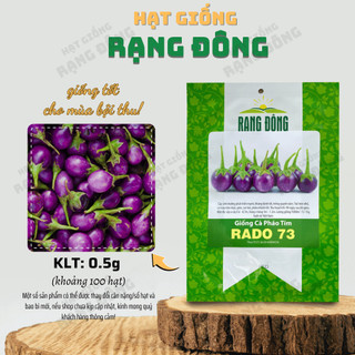 Hạt giống Cà Pháo Tím Rado 73 trồng quanh năm, dễ chăm sóc, kháng sâu bệnh tốt - Hạt giống Rạng Đông