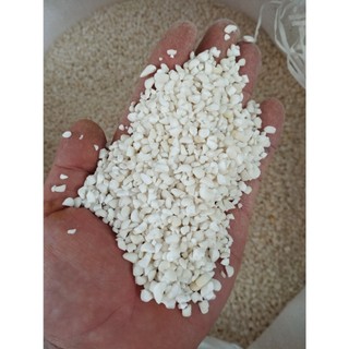 5KG Bắp Nếp Hạt Bể Khô Làm Xôi Bắp , bắp hầm, bắp giã, bắp nếp giá sỉ, Bắp nếp hạt bể khô giá sỉ 🌽 Nongsangiasi.com