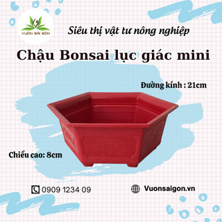 (Combo 3 chậu) Chậu bonsai lục giác Mini (21cmX8cm) trồng cây bonsai mini, bền đẹp (Vườn Sài Gòn)