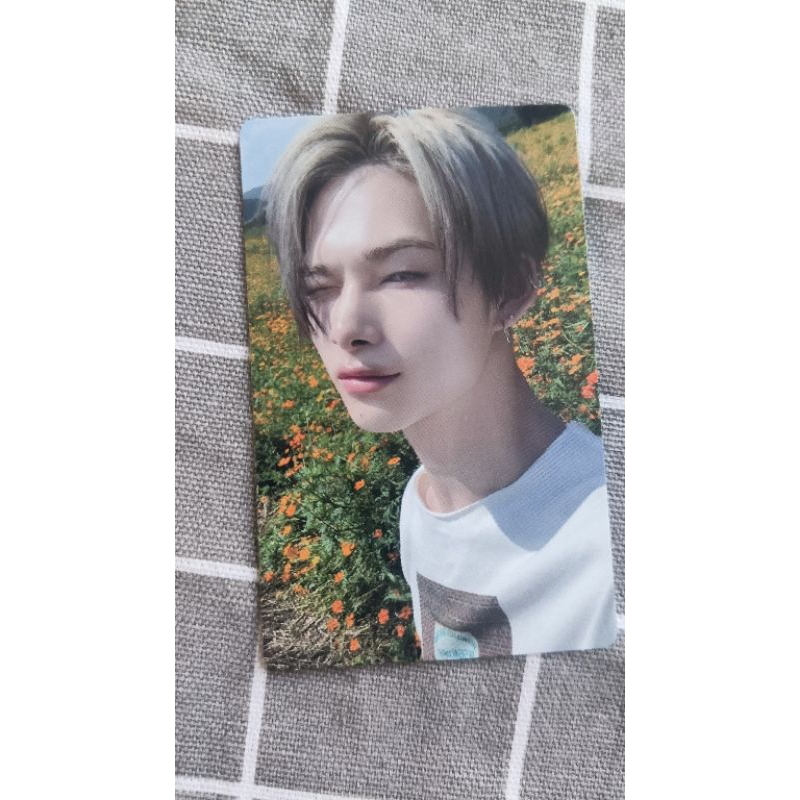 photocard album orange blood enhypen chính hãng niki official photocard off