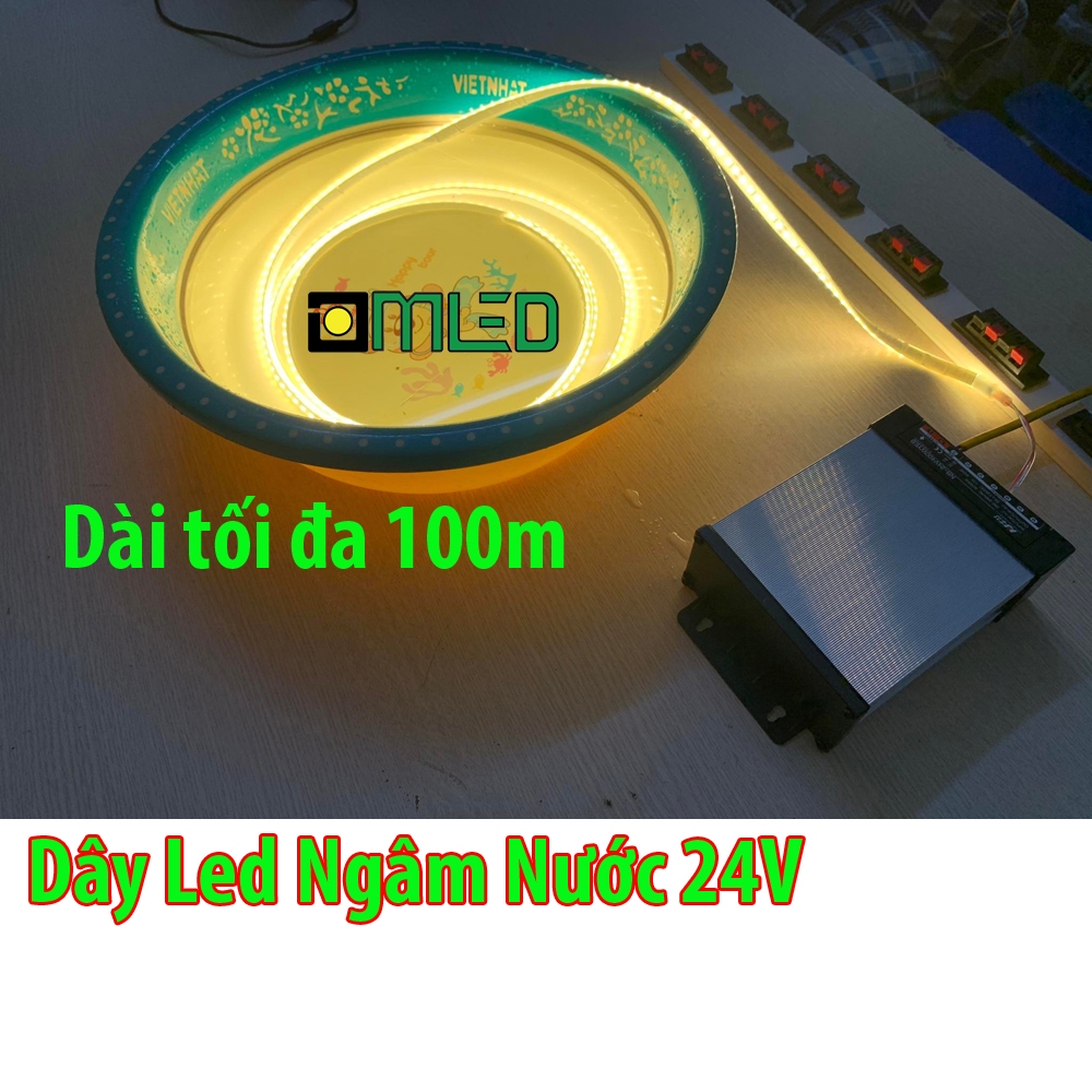 Dây Led Ngâm Nước 24V IP68 Ánh Sáng Đủ Màu Trang Trí Hồ Cá Koi Cuộn Dài 100m