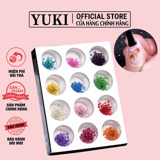 Set hoa khô - bộ 12 bông hoa khô tự nhiên trang trí nail - Hoa khô nail - Set hoa khô ẩn móng