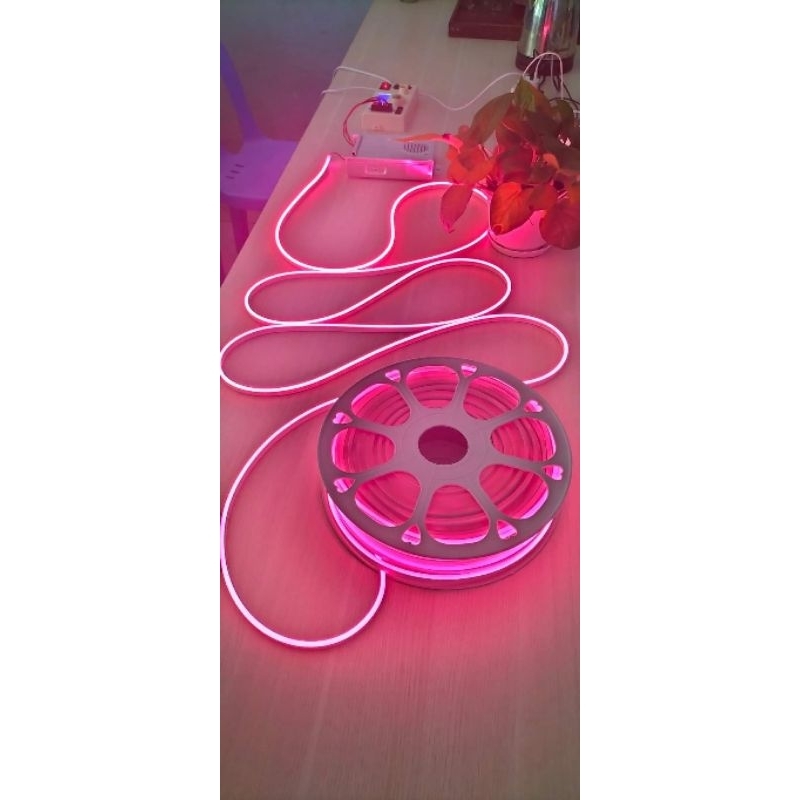 LED NEON 12V  50 mét/ cuộn dùng cho quảng cáo , trang trí