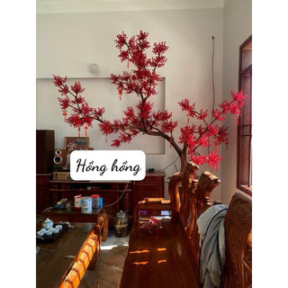 Nhánh đào đông rời trang trí