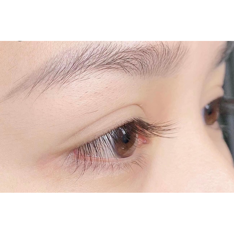 Mi Lông Thỏ Cong J