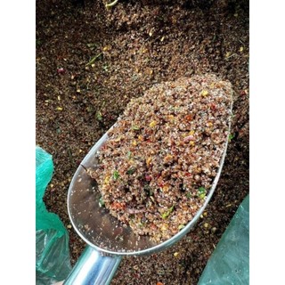 Chẩm chéo Tây Bắc loại ngon Hà Giang