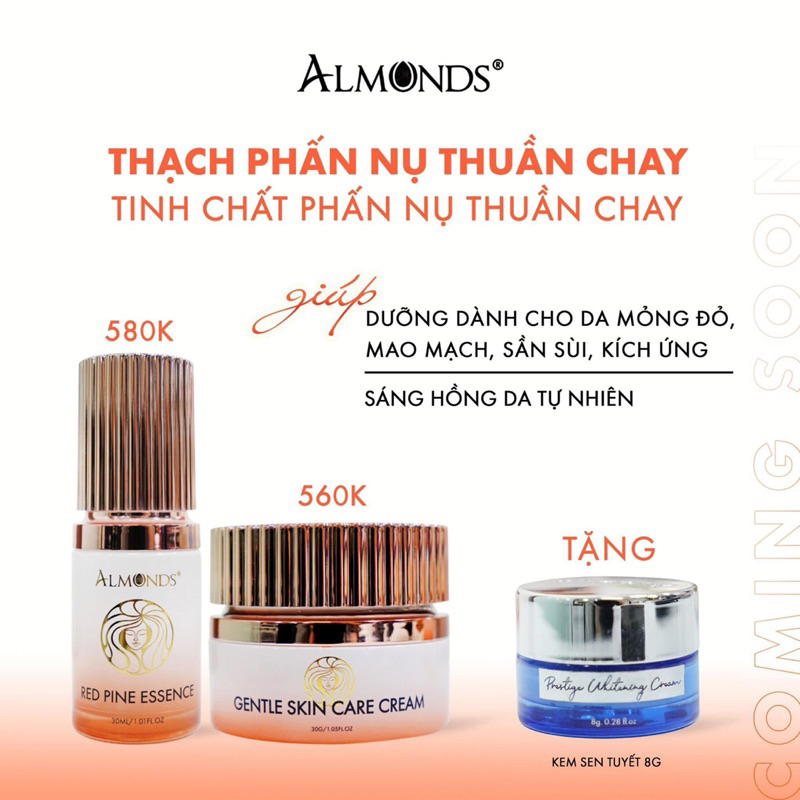 Combo phấn nụ + serum nụ thuần chay Almonds ( tặng kem sen tuyết nhỏ )