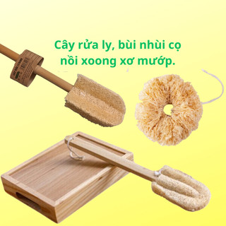 Cây rửa ly, bùi nhùi xơ mướp KB rửa cốc chén, ly, cọ xoong nồi.