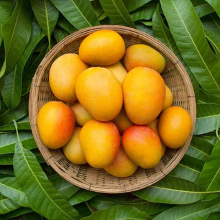 xoài sấy dẻo