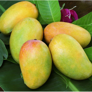 xoài sấy dẻo