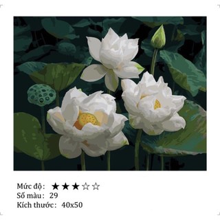 KHUNG 1.6cm- Tranh tô màu theo số, kích thước 40 x 50 cm,TẶNG KHĂN, đã căng khung,có SƠN BÓNG