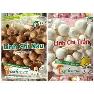 🍄NẤM LINH CHI NÂU - NẤM LINH CHI TRẮNG - 1 HỘP