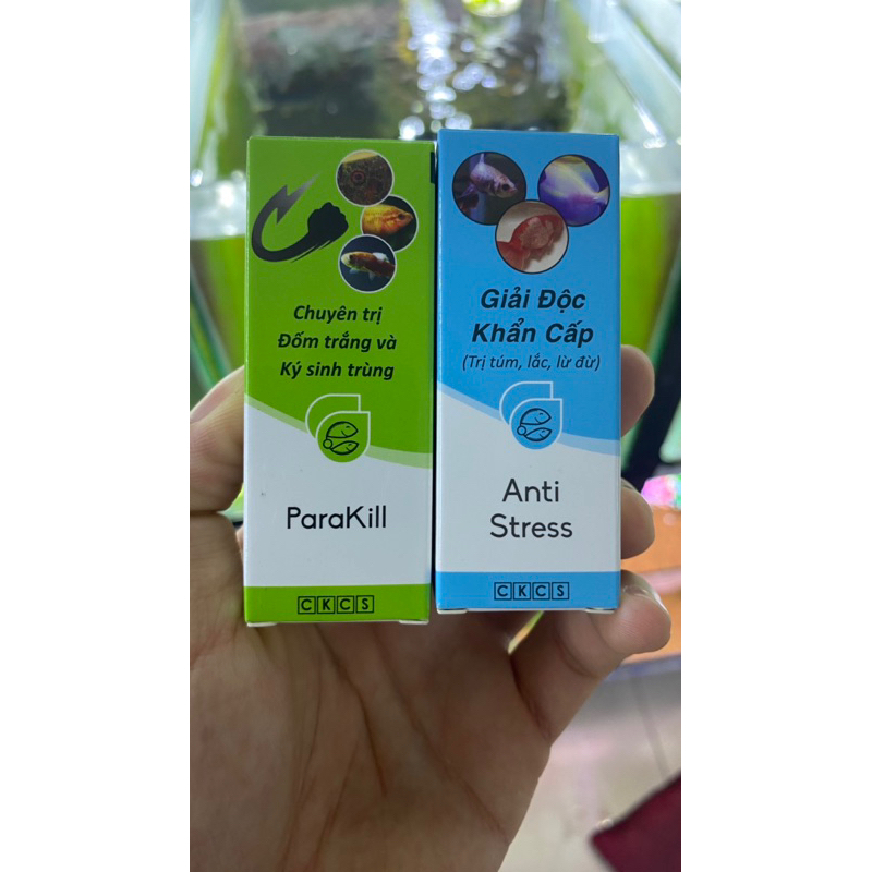 Anti Stress - Parakill - Giải độc, túm lắc, lừ đừ, đốm trắng, ký sinh trùng ở cá cảnh thuỷ sinh