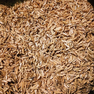 3Kg Vỏ trấu khô - giá thể vỏ trấu trồng cây