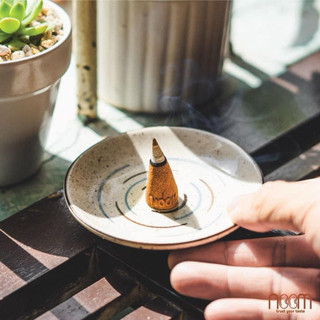 01 Nụ quế thông Noom
