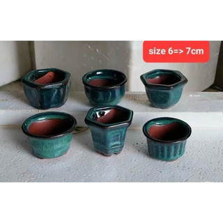 Chậu mini hoả biến sen đá mini