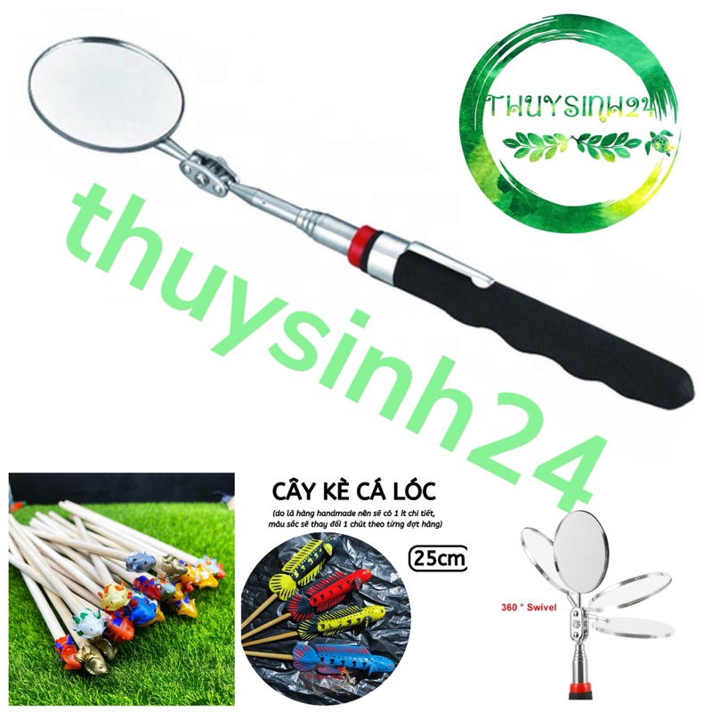 Kính kè | gương kè cá - kè betta - kè cá lóc cao cấp siêu tiện lợi