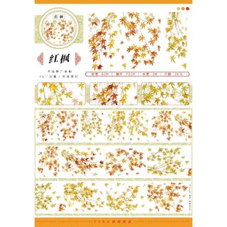 Băng dính PET nền trong