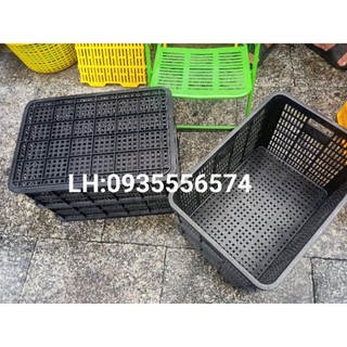 Sóng hở 3t9 màu đen đại đồng tiến