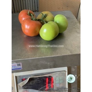 25h hạt giống cà chua beef toivo f1