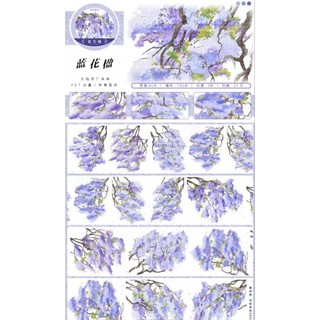 Băng dính PET nền trong
