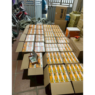 xilanh chủng đậu 1 kim (2ml-5ml)