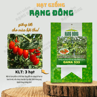 Hạt giống Cà Chua Trái Cây Chịu Nhiệt Lai F1 Gana 533 (3 hạt) kháng bệnh tốt, trái sai, vị ngọt - Hạt giống Rạng Đông
