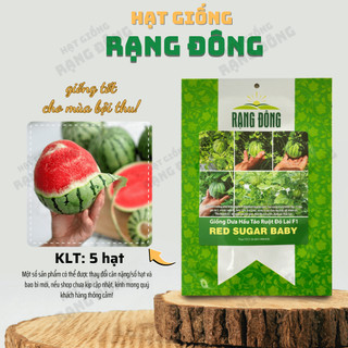 Hạt giống Dưa Hấu Táo Ruột Đỏ Red Sugar Baby (5 hạt) trái sai, ruột đỏ, ngọt, trồng quanh năm - Hạt giống Rạng Đông