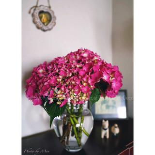 Bình hoa pha lê BOHEMIA - Lọ hoa Decor