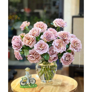 Bình hoa pha lê BOHEMIA - Lọ hoa Decor