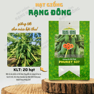 Hạt giống Đu Đủ Thái Phuket 537 (20 hạt) giống Đu Đủ trái dài, sai quả, trồng quanh năm - Hạt giống Rạng Đông