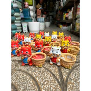 chậu trồng cây bé rồng mini