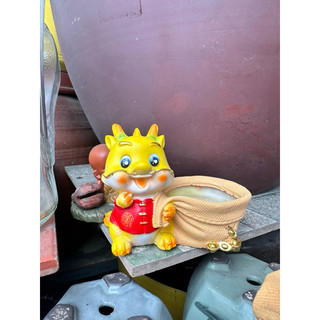 Chậu trồng cây bé rồng mini