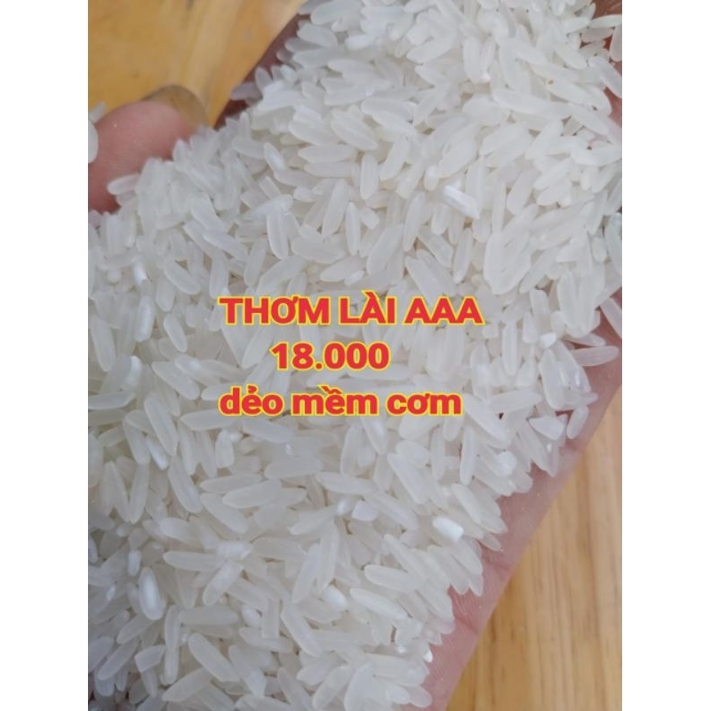 Gạo Thơm Lài AAA Dẻo Vừa mền ngon cơm | BigBuy360 - bigbuy360.vn