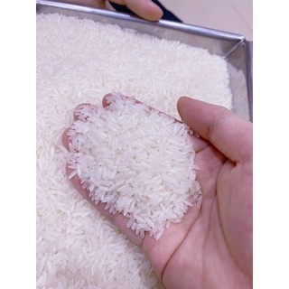 Gạo thơm mỹ cơm sáng bóng dẻo ngọt ngon cơm