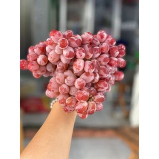 Nho đỏ giòn ngọt k hạt