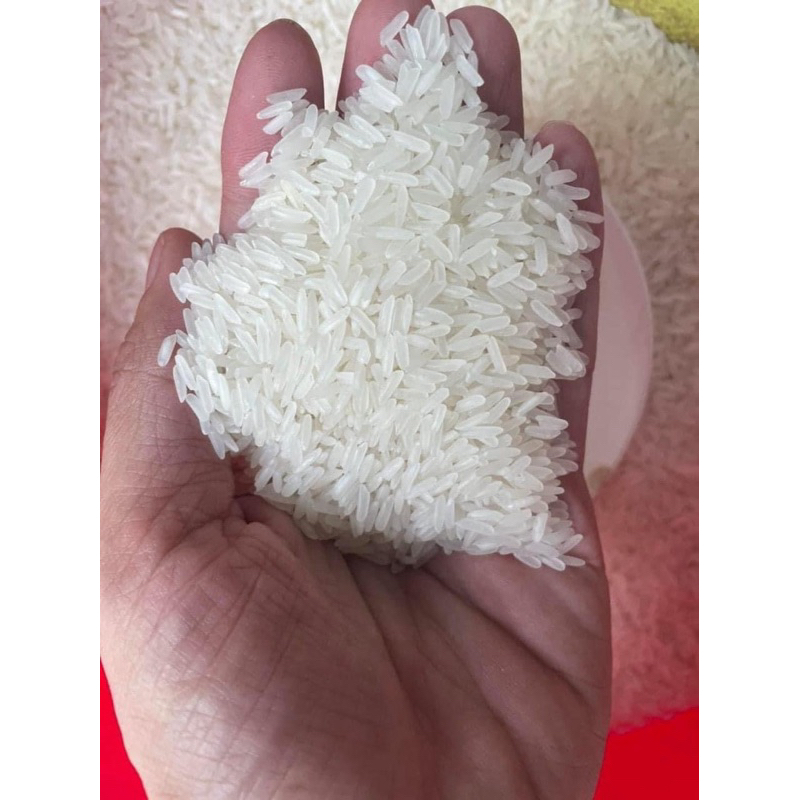 Gạo Thơm Lài Sữa bao 25 kí