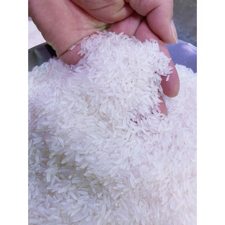 GẠO JASMINE HẠT TRONG  DẺO MỀN NGON CƠM